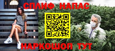 индика Тула