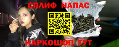 индика Тула