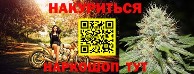 индика Тула