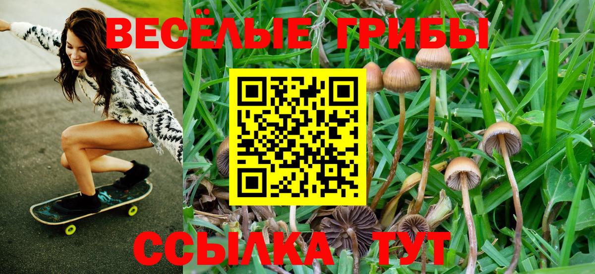 Псилоцибиновые грибы мицелий Альметьевск